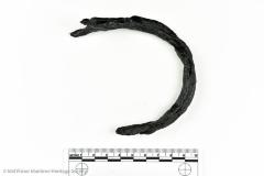 Shackle Loop