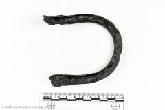 Shackle Loop