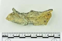 Tankard Lid Fragment
