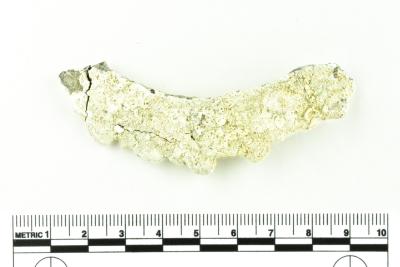 Tankard Lid Fragment