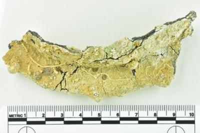 Tankard Lid Fragment