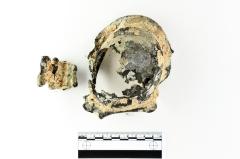 Tankard Lid