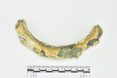 Tankard Lid Fragment