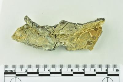 Tankard Lid Fragment