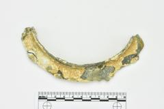 Tankard Lid Fragment