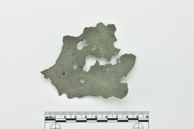 Rim Fragment