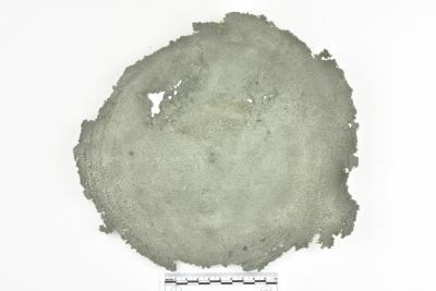 Basin Fragment