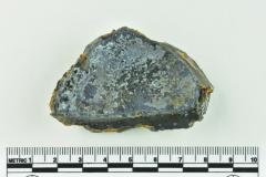 Onion Bottle Fragment