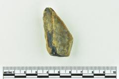 Onion Bottle Fragments