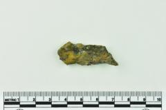 Onion Bottle Fragment