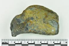 Onion Bottle Fragments