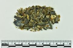 Onion Bottle Fragments