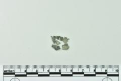 Leather Fragment