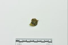 Onion Bottle Fragments