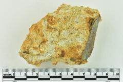 Onion Bottle Fragments