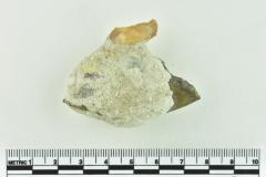 Onion Bottle Fragments