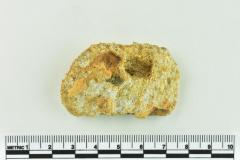 Onion Bottle Fragments