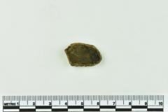Onion Bottle Fragments