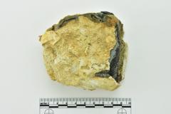 Case Bottle Base