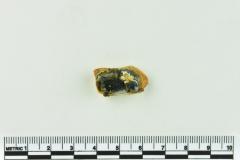 Onion Bottle Fragments