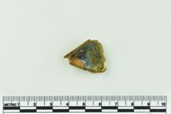 Onion Bottle Fragments