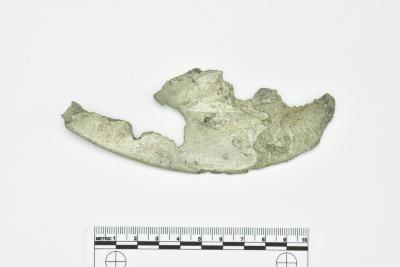 Rim Fragment 