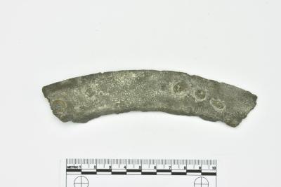 Rim Fragment 