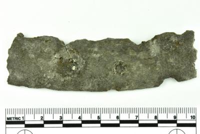 Rim Fragment