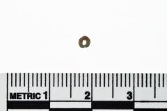 Trade Bead