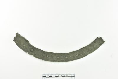 Rim Fragment