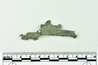 Rim Fragment