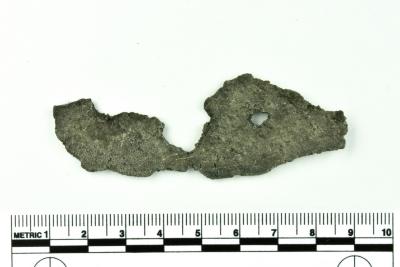 Rim Fragment