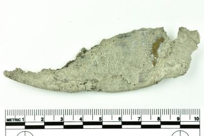 Rim Fragment