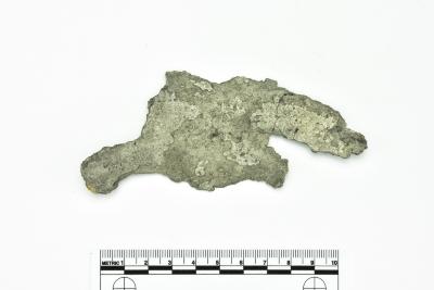 Rim Fragment 