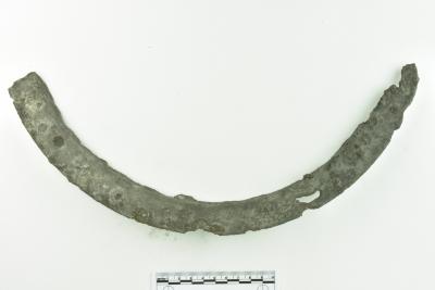 Rim Fragment