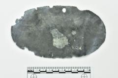 Lead Disk