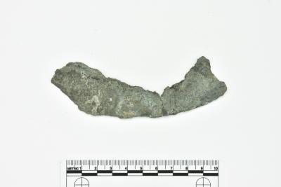 Rim Fragment 