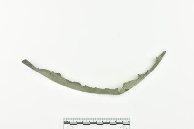 Rim Fragment