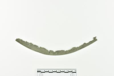 Rim Fragment