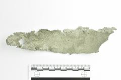 Basin Fragment