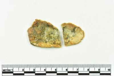 Bottle Fragment