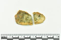 Bottle Fragment