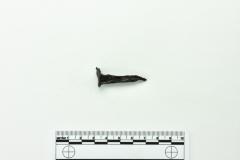 Nail