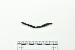 Nail