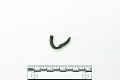 Nail