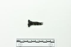 Nail