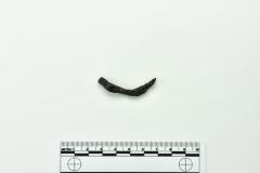 Nail