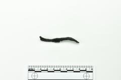 Nail