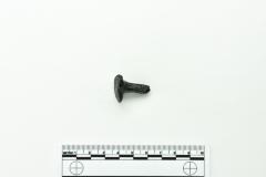 Nail