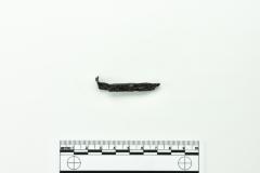 Nail